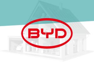 BYD