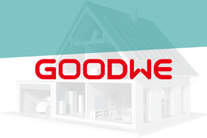 GoodWe