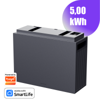 CONOW Tuya CBE2000 PRO Erweiterungsakku – 5,0 kWh...