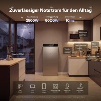 500W Balkonkraftwerk Komplettset Tuya CONOW 9,1 kWh Speicher + 1x Sunpro 500Wp Full Black bifaziales Glas-Glas-Solarmodul + Gratis Smart Meter